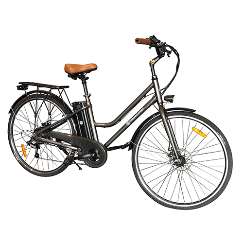 E-Bike Damen GS3