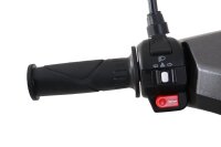 Motorroller Powermax 50 ccm 45 km/h EURO 5 dunkelgrau