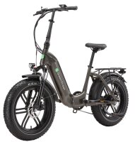 E-Bike Tiefeinsteiger Klapprad GS5 250 W 20 Zoll anthrazit