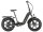 E-Bike Tiefeinsteiger Klapprad GS5 250 W 20 Zoll anthrazit grau