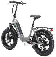 E-Bike Tiefeinsteiger Klapprad GS5 250 W 20 Zoll grau