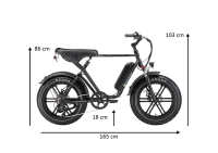 E-Bike Fat Tire California 250 W 20 Zoll