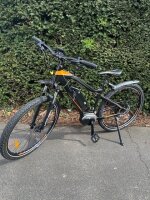 E-Bike Mountainbike "Zero"