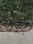 E-Bike "Zero"