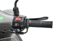 Motorroller Napoli 50 ccm 45 km/h Euro 5+ silber-schwarz