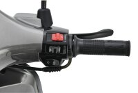 Motorroller Napoli 125 ccm 85 km/h Euro 5+ silber-schwarz