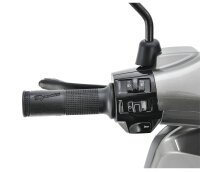 Motorroller Napoli 50 ccm 45 km/h Euro 5 silber-schwarz inkl. Topcase