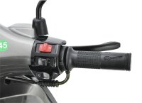 Motorroller Napoli 50 ccm 45 km/h Euro 5 silber-schwarz inkl. Topcase