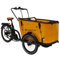 Elektrolastenfahrrad Family-Cargo 250 W Mittelmotor