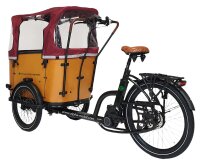 Elektrolastenfahrrad Family-Cargo 250 W Mittelmotor