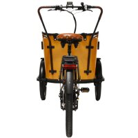 Elektrolastenfahrrad Family-Cargo 250 W Mittelmotor