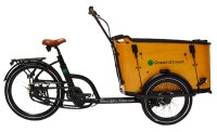 Elektrolastenfahrrad Family-Cargo 250 W Mittelmotor