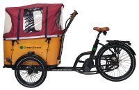 Elektrolastenfahrrad Family-Cargo 250 W Mittelmotor