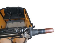 Elektrolastenfahrrad Family-Cargo 250 W