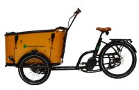Elektrolastenfahrrad Family-Cargo 250 W