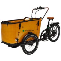 Elektrolastenfahrrad Family-Cargo 250 W